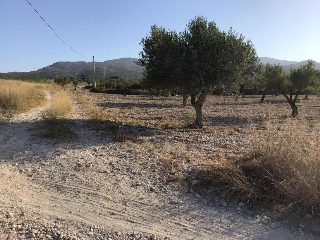 Terreno en venta en Sax, Alicante photo 4