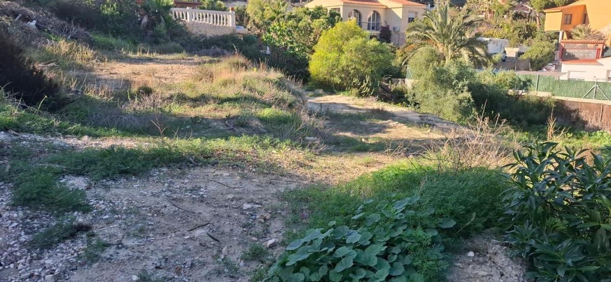 Terreno en venta en El Campello, Alicante photo 5