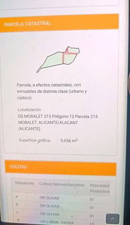 Terreno en Calle La Palometa, 51, Moralet thumbnail 2