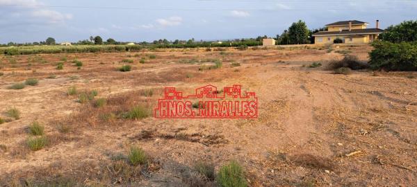 Terreno en Algoda-Matola-Llano de San José, Elche / Elx photo 1