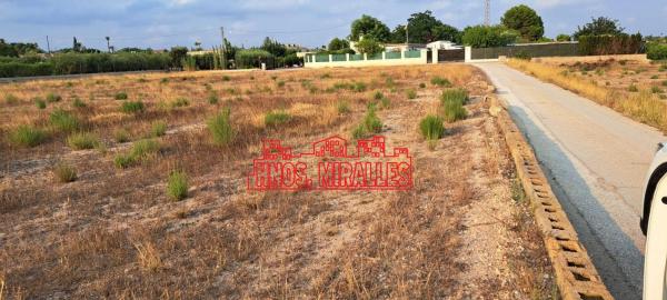 Terreno en Algoda-Matola-Llano de San José, Elche / Elx photo 2
