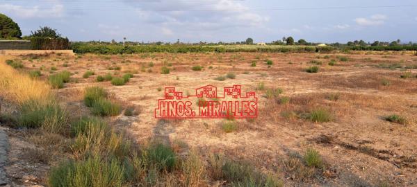 Terreno en Algoda-Matola-Llano de San José, Elche / Elx photo 3