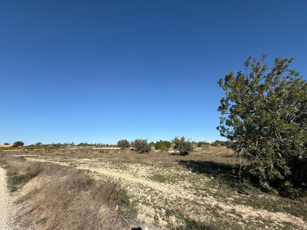 Terreno en Valverde, Elche / Elx photo