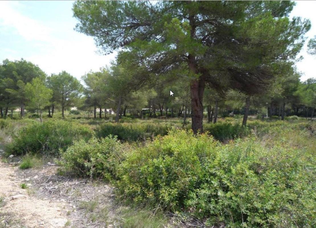 Terreno en venta en Jávea/Xàbia, Alicante photo 3