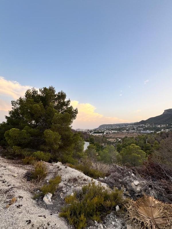 Terreno en venta en Calpe, Alicante photo 4