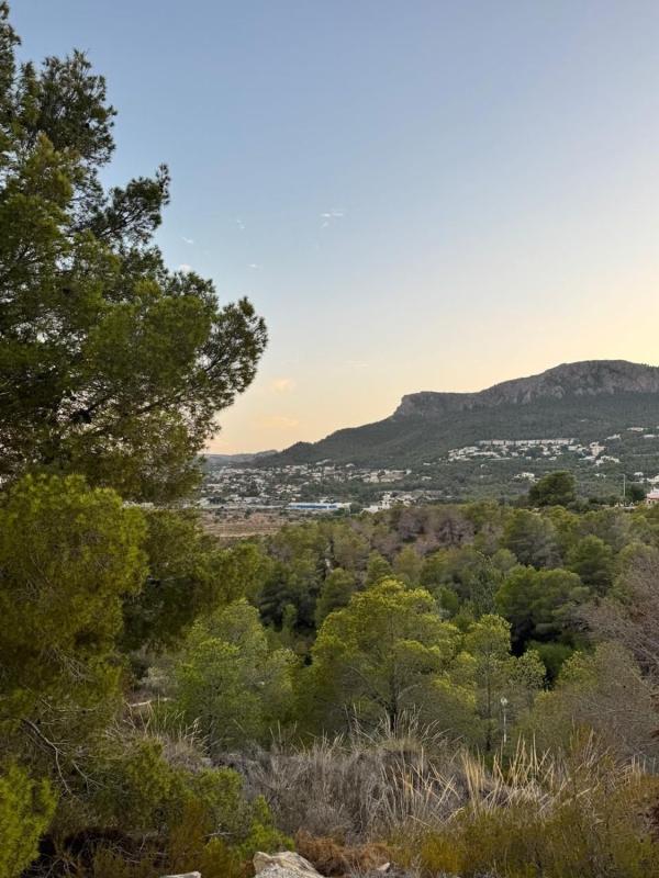 Terreno en venta en Calpe, Alicante photo 5