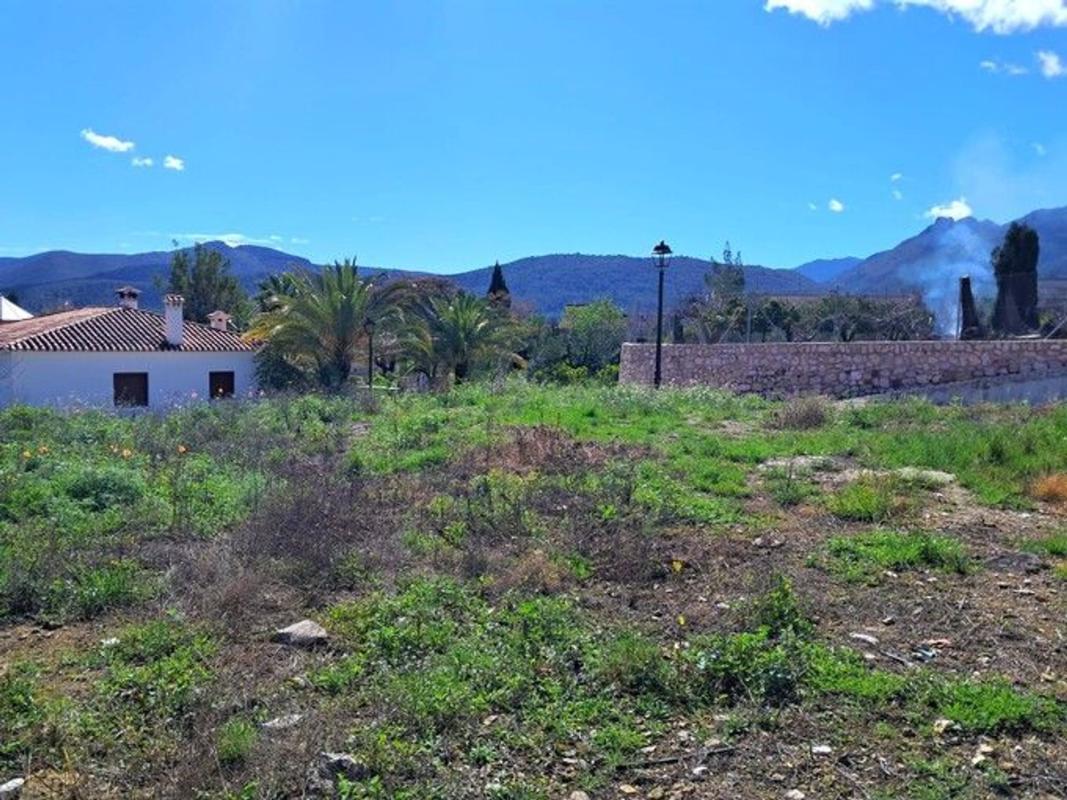 Działka na sprzedaż w Alcalalí, Alicante photo 5