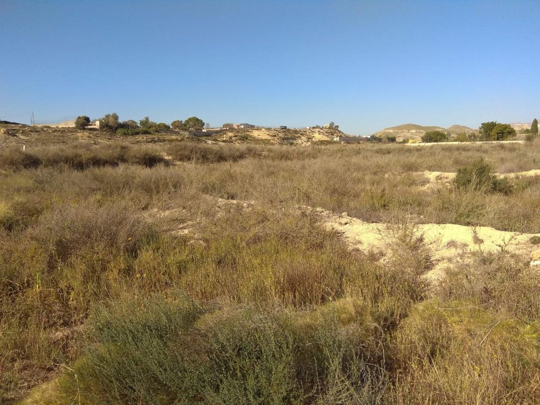 Terreno en venta en San Vicente del Raspeig, Alicante photo 2