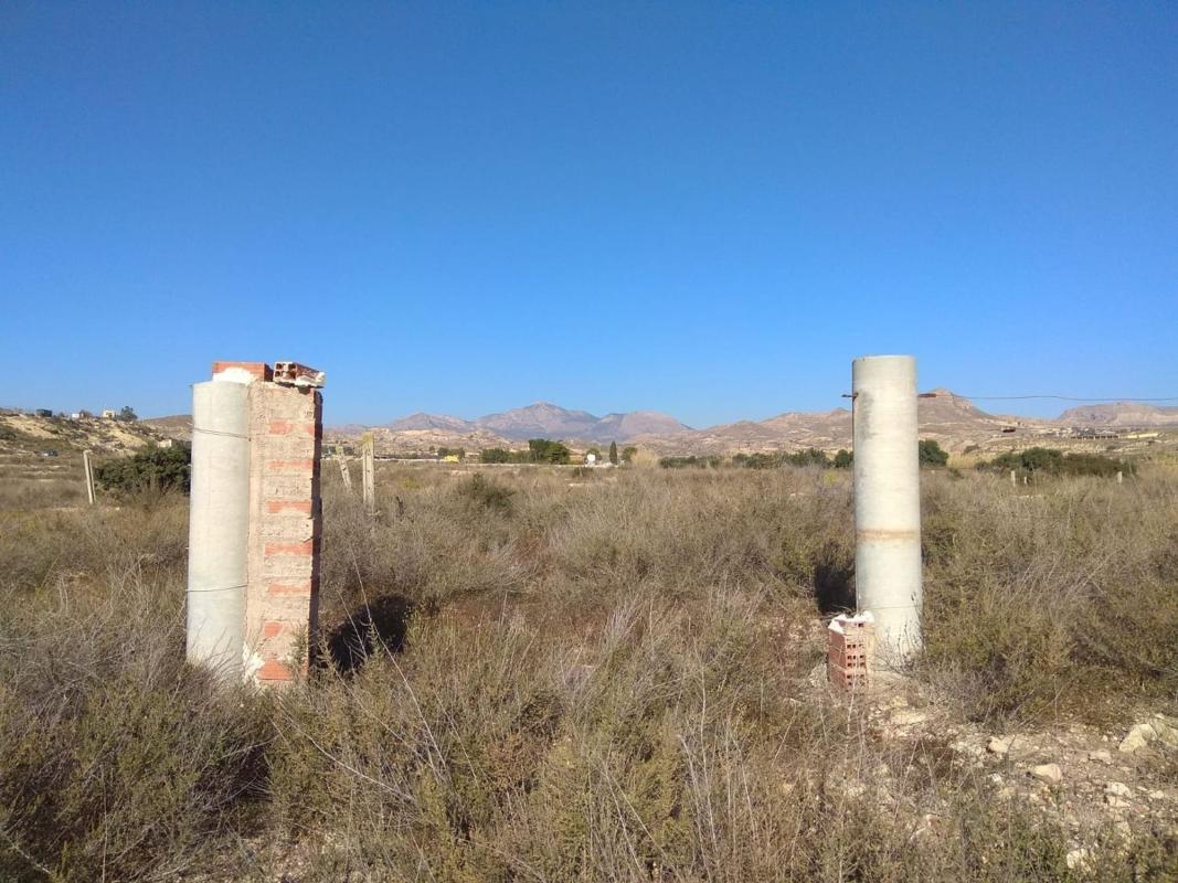 Terreno en venta en San Vicente del Raspeig, Alicante photo 3