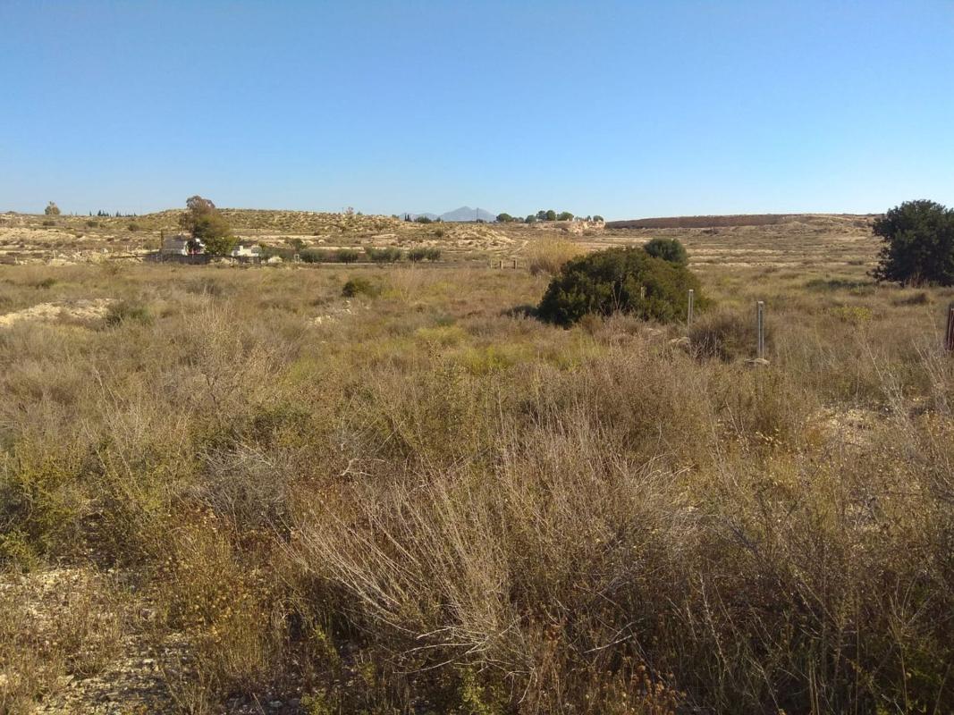 Terreno en venta en San Vicente del Raspeig, Alicante photo 4