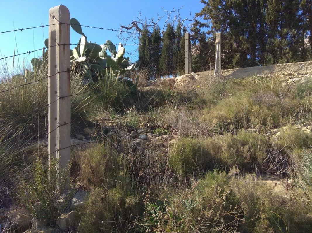 Terreno en venta en San Vicente del Raspeig, Alicante photo 5