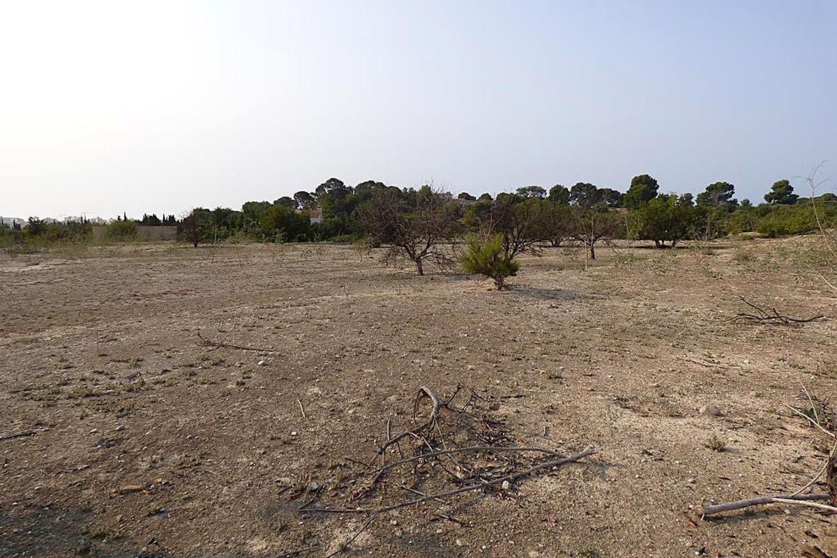 Land for sale in La Villajoyosa / Vila Joiosa, Alicante photo 5