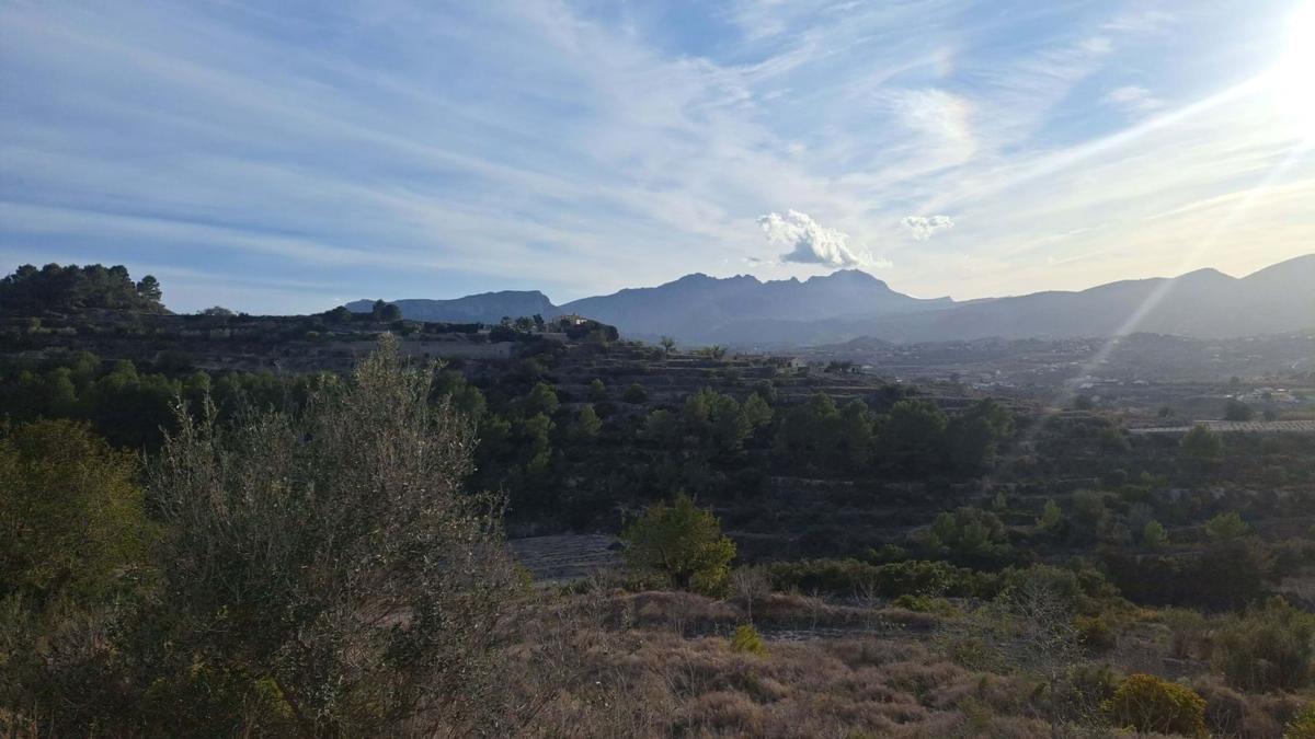 Działka na sprzedaż w Benissa, Alicante photo 3