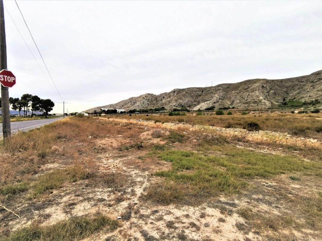 Land for sale in Villena, Alicante photo 1