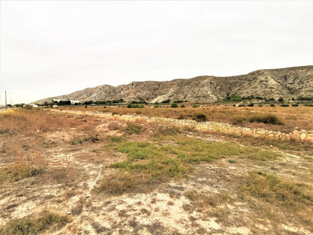 Land for sale in Villena, Alicante photo 3