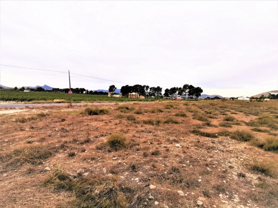 Land for sale in Villena, Alicante photo 4