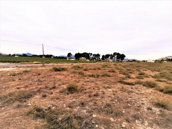 Terreno en El Rabal, Villena photo 4