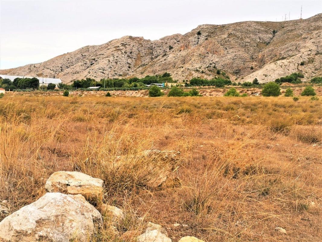 Land for sale in Villena, Alicante photo 5