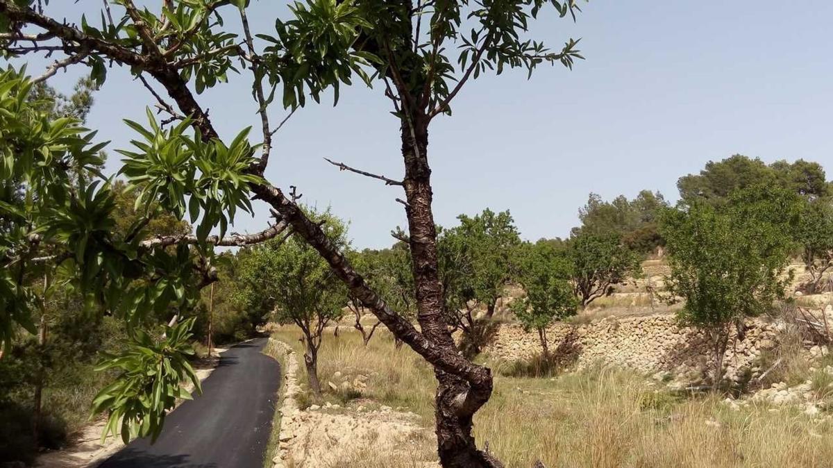 Terreno en venta en Benissa, Alicante photo 5