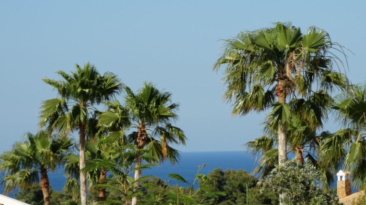 Land for sale in Jávea/Xàbia, Alicante photo 3