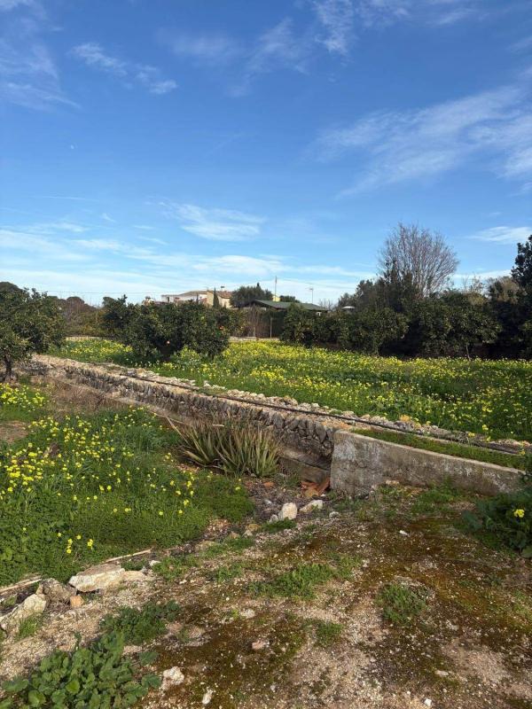 Terreno en venta en Denia, Alicante photo 5