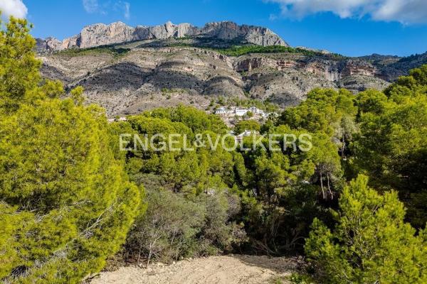 Terreno en Altea la Vella, Altea photo 1