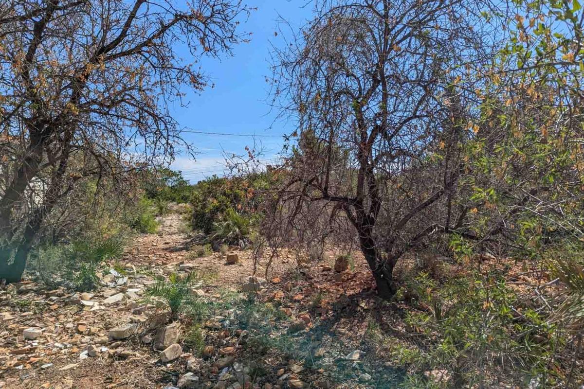 Land for sale in Denia, Alicante photo 4