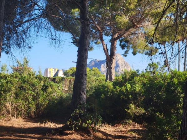 Terreno en Cometa-Carrió, Calpe photo 1