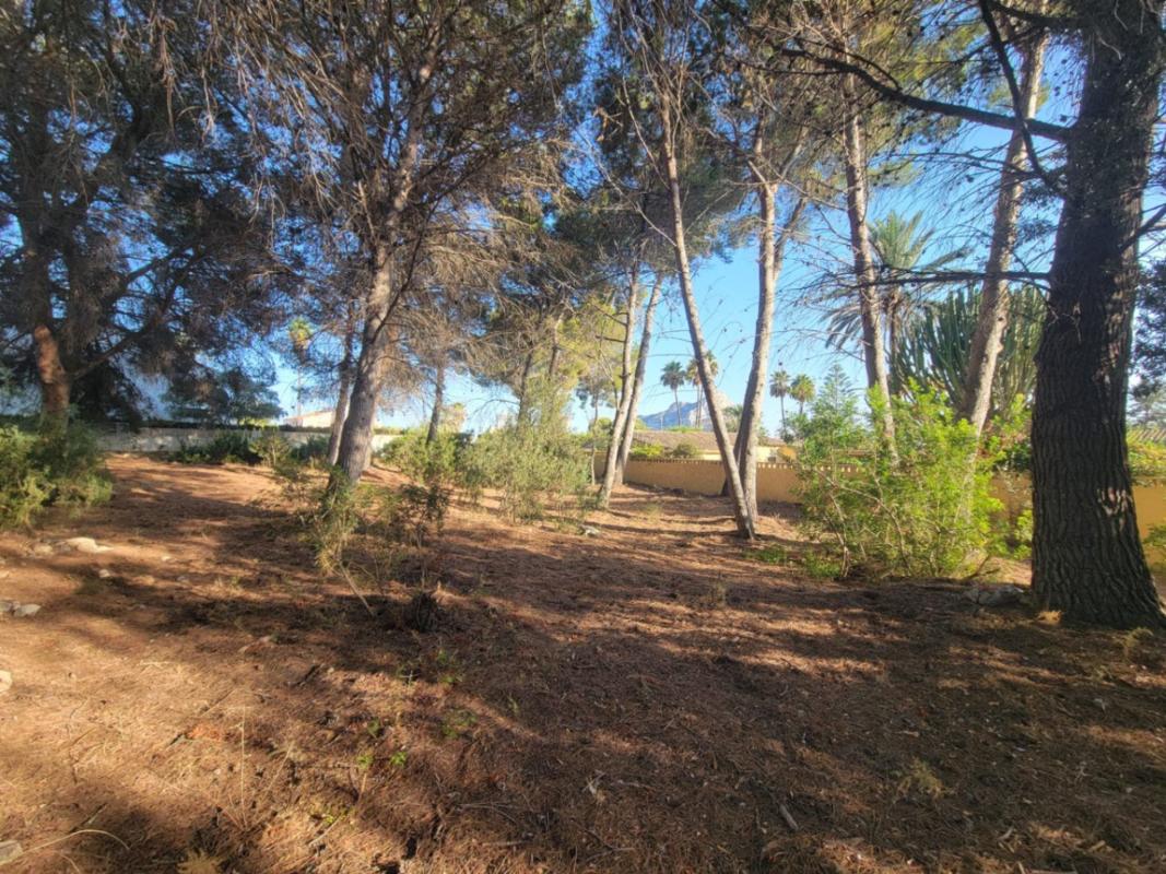 Terreno en venta en Calpe, Alicante photo 4