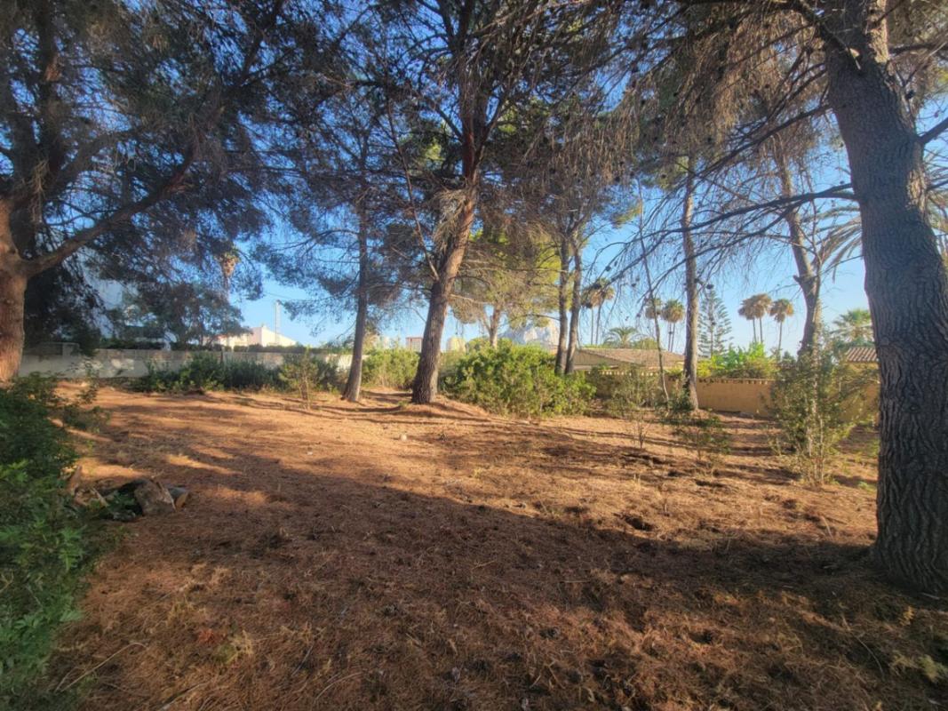 Terreno en venta en Calpe, Alicante photo 5