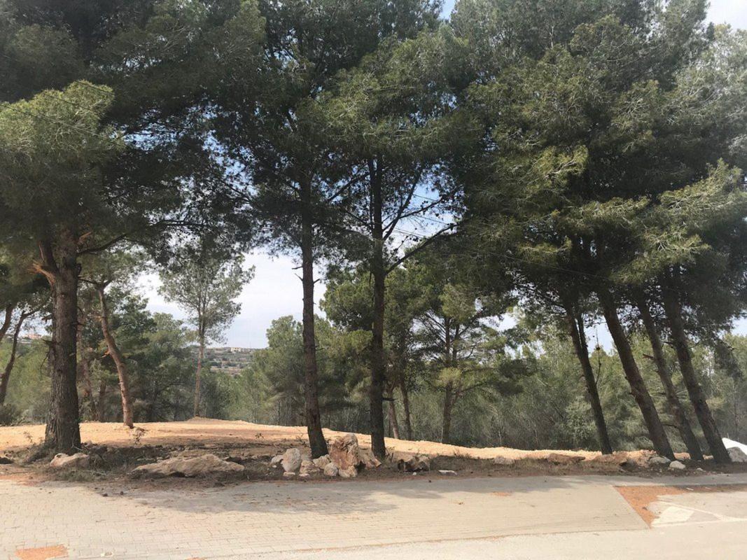 Land for sale in Moraira, Alicante photo 1