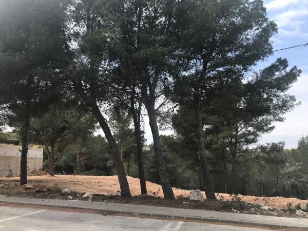 Terreno en Benimeit-Tabaira, Moraira photo 4