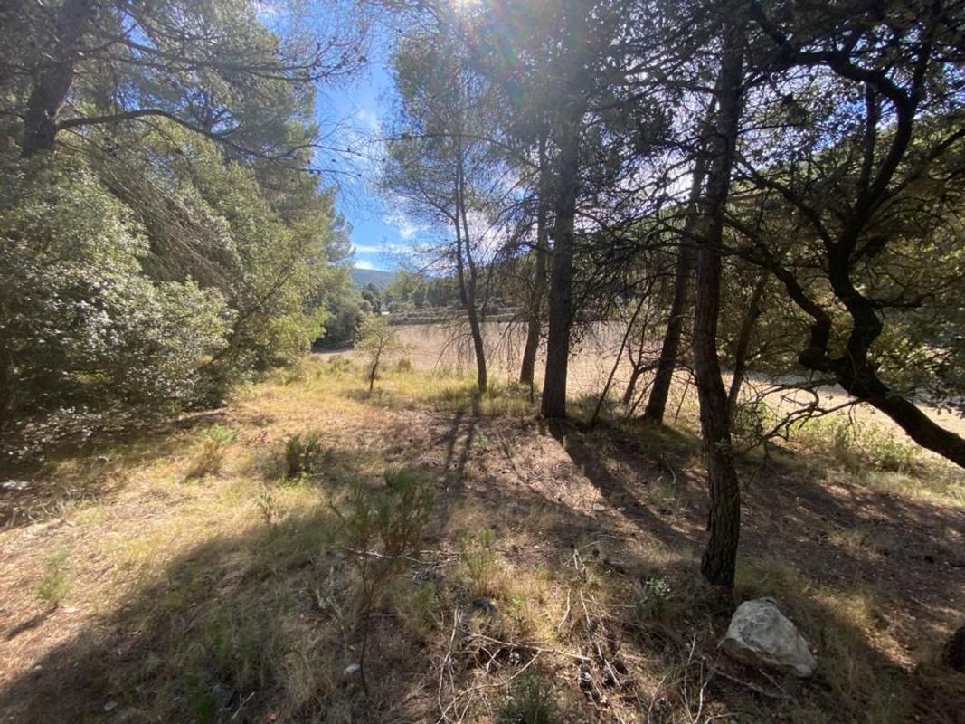 Terreno en venta en Alcoy / Alcoi, Alicante photo 3