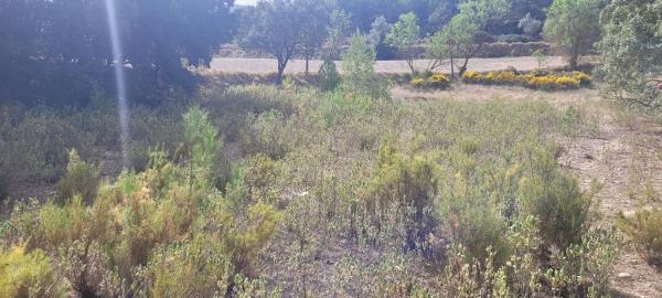 Terreno en Polígono 5 parcela 8 Alcoy, 8, Barri Eixample, Alcoy / Alcoi photo 4