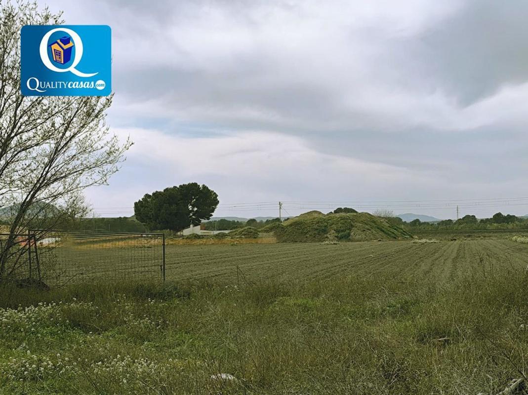 Land for sale in Villena, Alicante photo 3