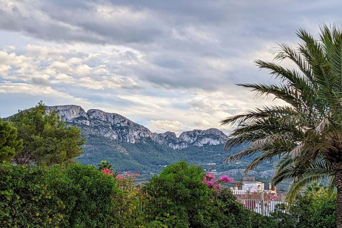 Land for sale in Denia, Alicante photo 4