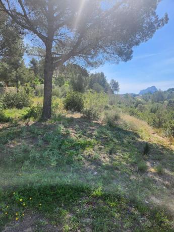Terreno en Partida Pioco, 5, Benissa pueblo, Benissa thumbnail 2
