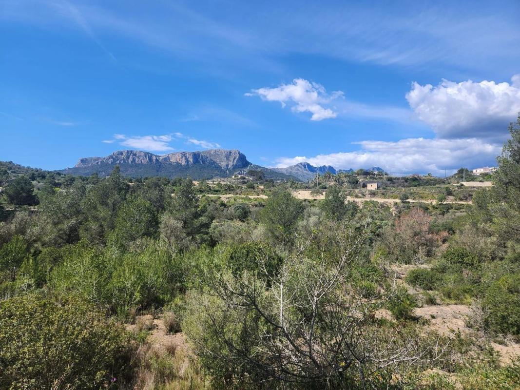 Terreno en venta en Benissa, Alicante photo 3