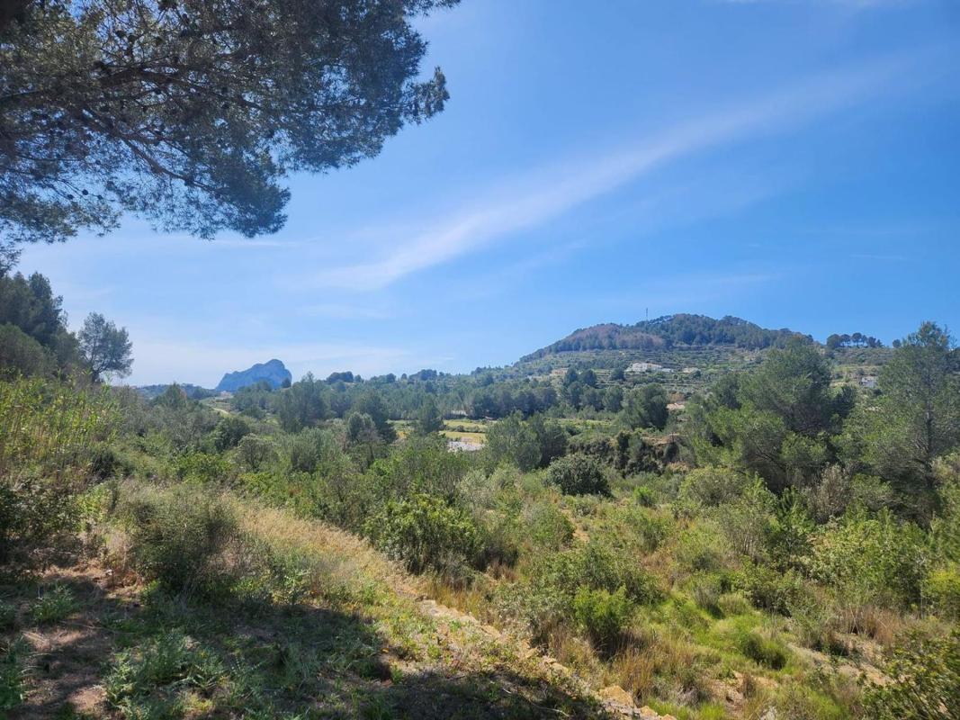 Terreno en venta en Benissa, Alicante photo 5