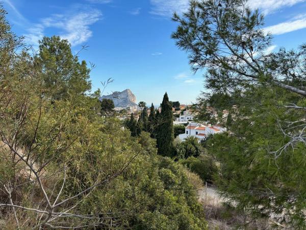 Terreno en Partida Tosal de la Cometa, Cometa-Carrió, Calpe photo 1