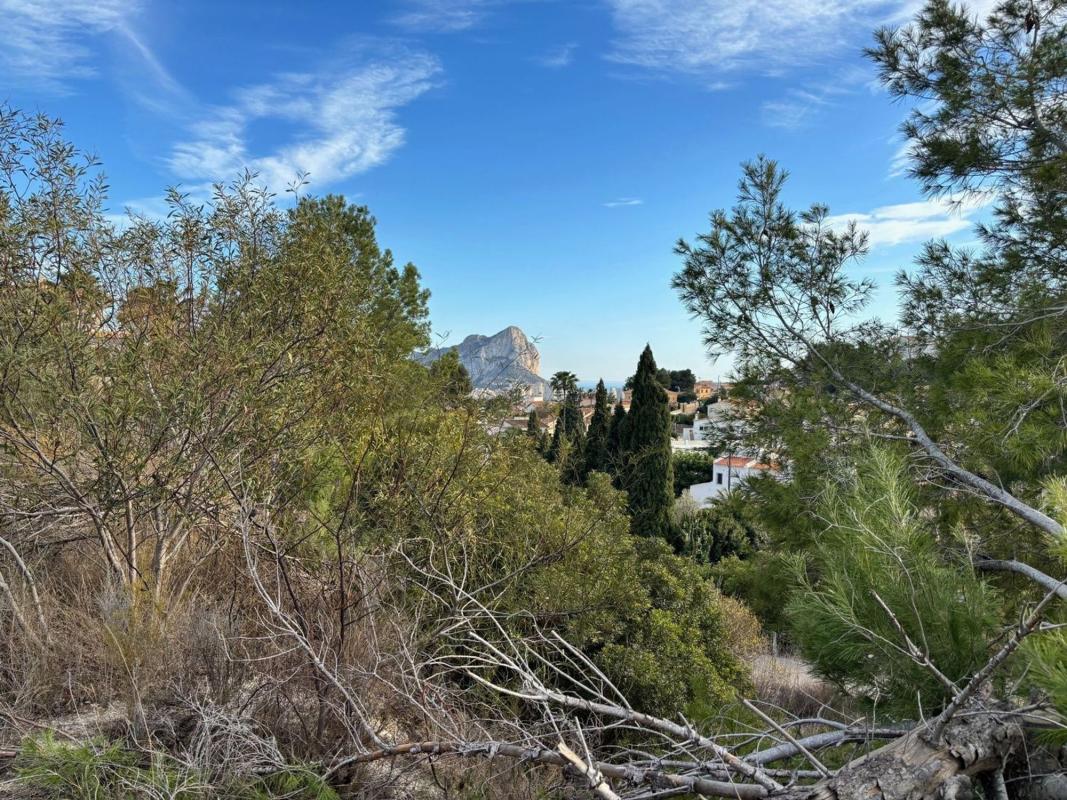 Land for sale in Calpe, Alicante photo 4