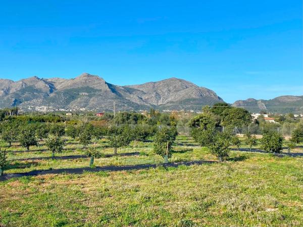 Terreno en Beniarbeig photo 4