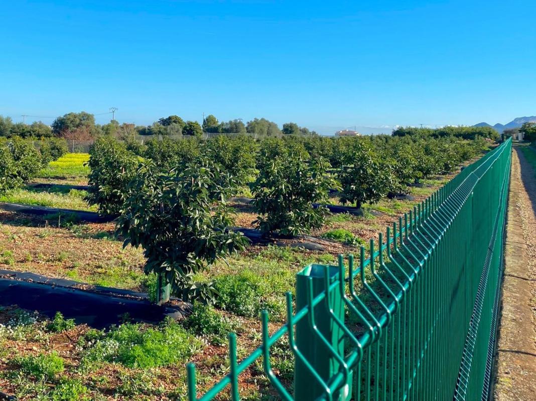 Участок земли на продажу в Бениарбек, Аликанте photo 5