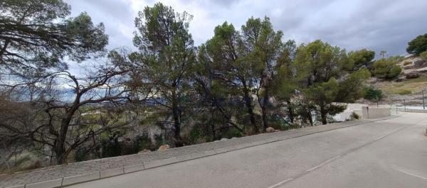 Terreno en Calle Corniola, Altea la Vella, Altea thumbnail 3