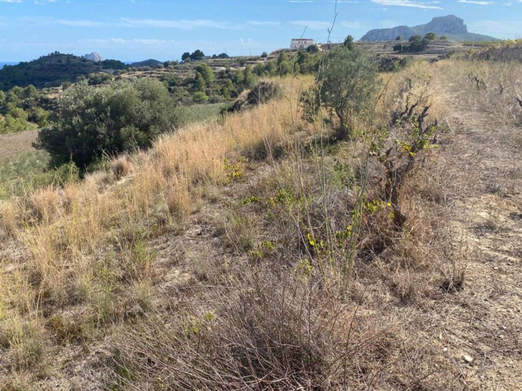Land for sale in Benissa, Alicante photo 1
