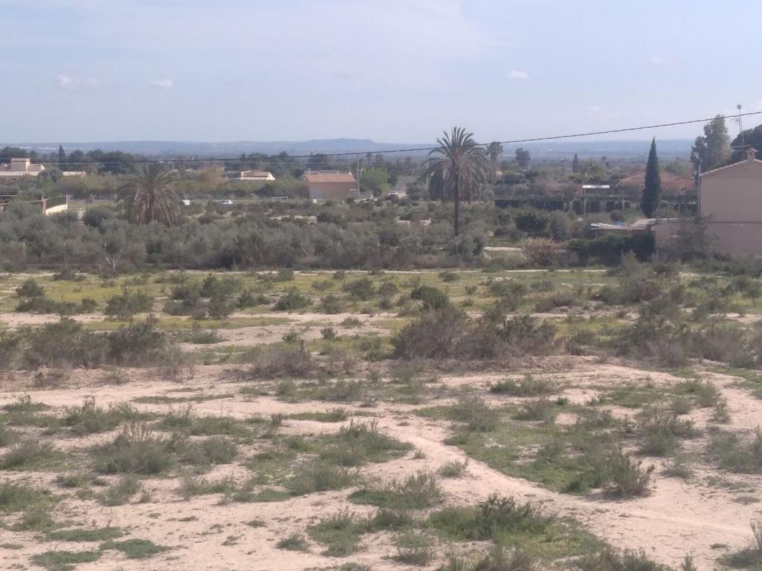 Terreno en venta en Elche / Elx, Alicante photo 2