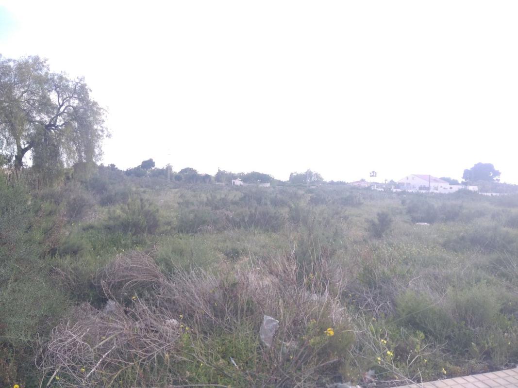 Terreno en venta en Elche / Elx, Alicante photo 3