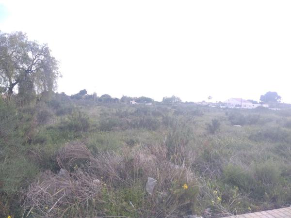 Terreno en Lugar Llano San Jose Poligono 1, 2155, Algoda-Matola-Llano de San José, Elche / Elx thumbnail 3