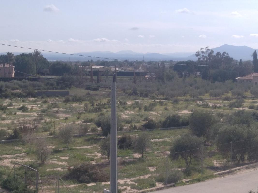 Terreno en venta en Elche / Elx, Alicante photo 4