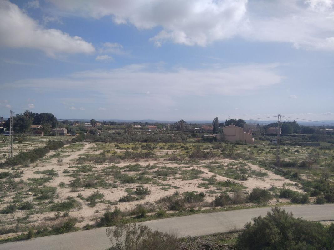 Terreno en venta en Elche / Elx, Alicante photo 5